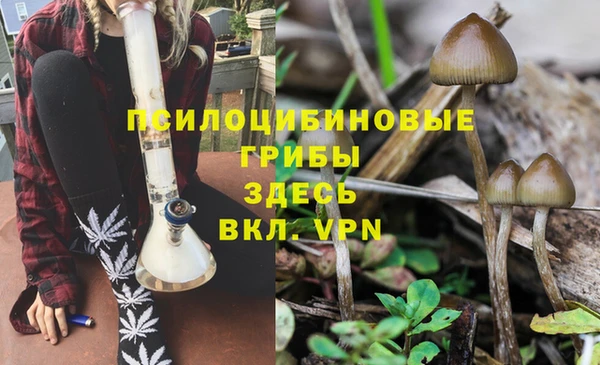 spice Арсеньев