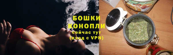 spice Арсеньев