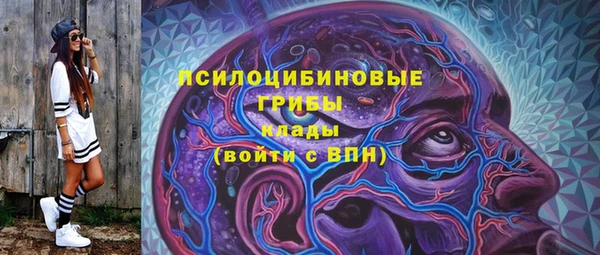 Альфа ПВП Аркадак