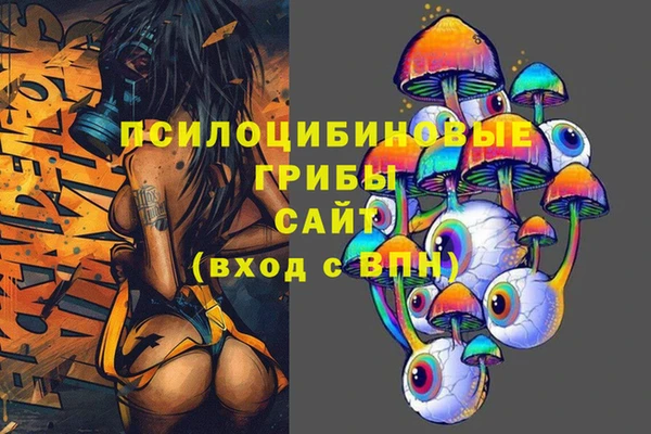 spice Арсеньев