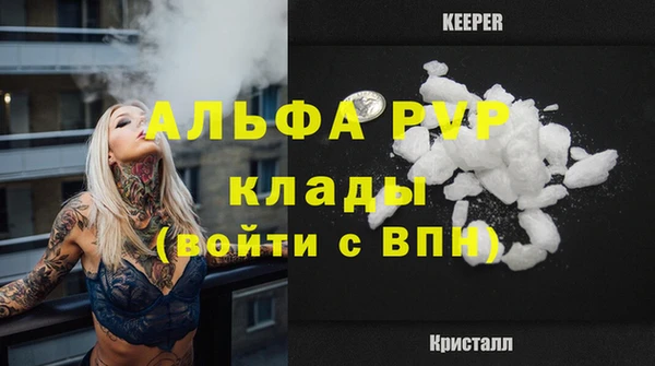 spice Арсеньев