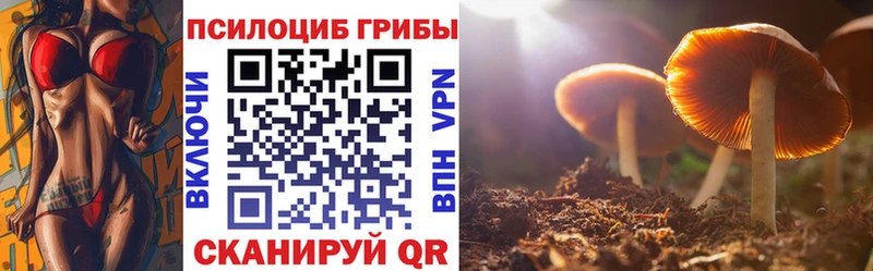Галлюциногенные грибы Psilocybe  Аткарск 